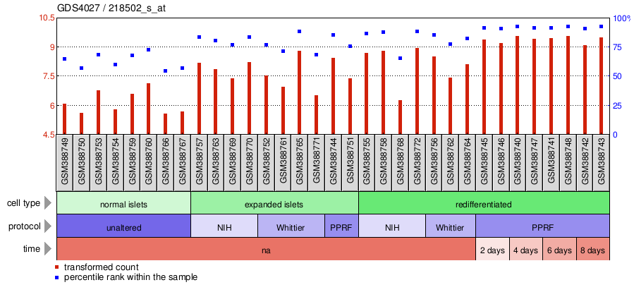 Gene Expression Profile