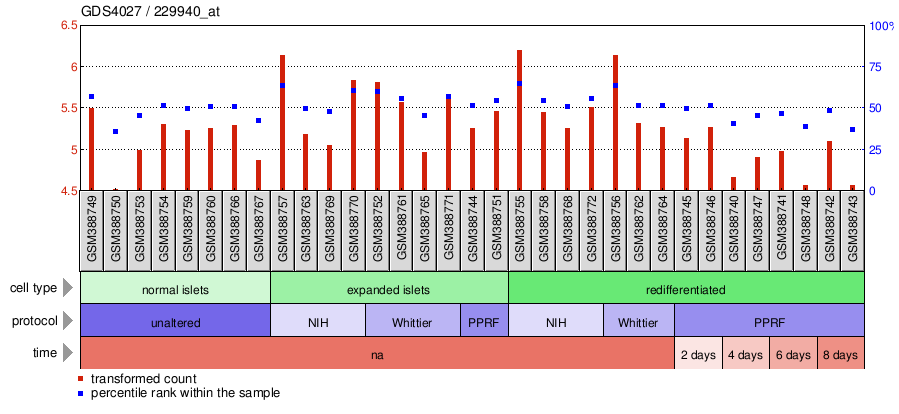 Gene Expression Profile