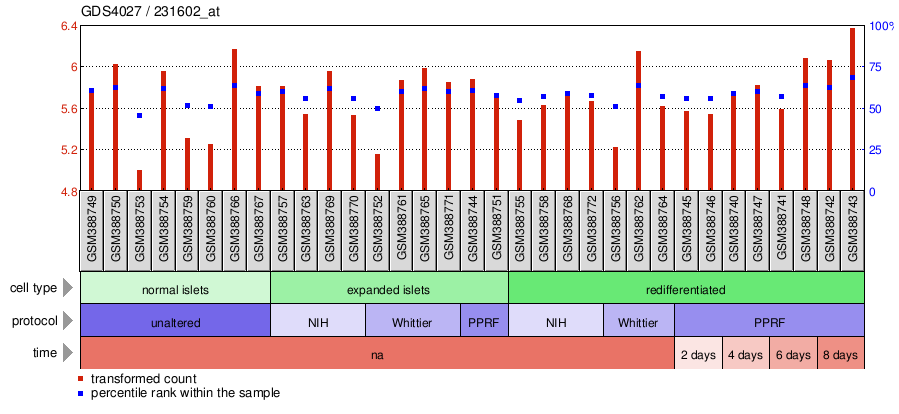 Gene Expression Profile