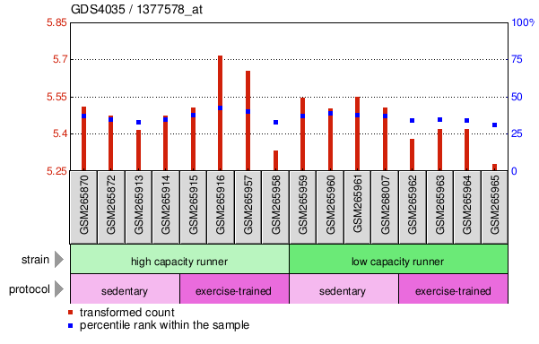 Gene Expression Profile