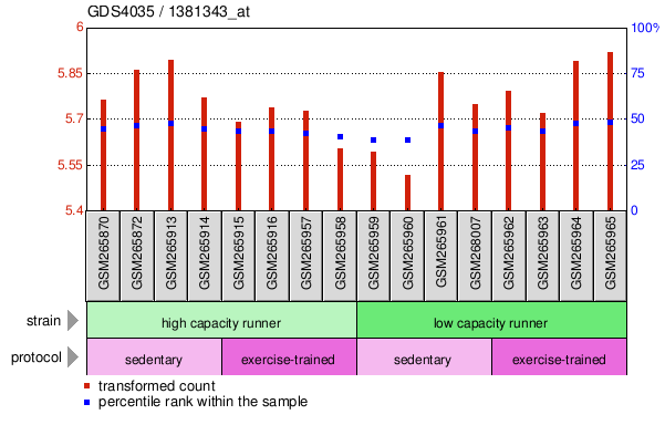 Gene Expression Profile