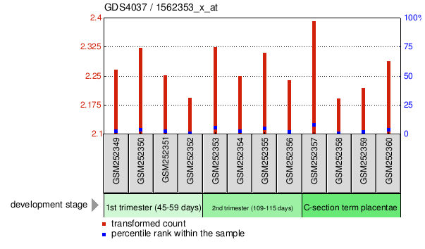 Gene Expression Profile