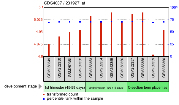 Gene Expression Profile