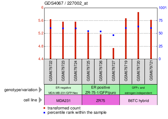 Gene Expression Profile