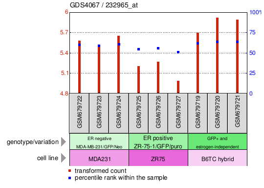 Gene Expression Profile