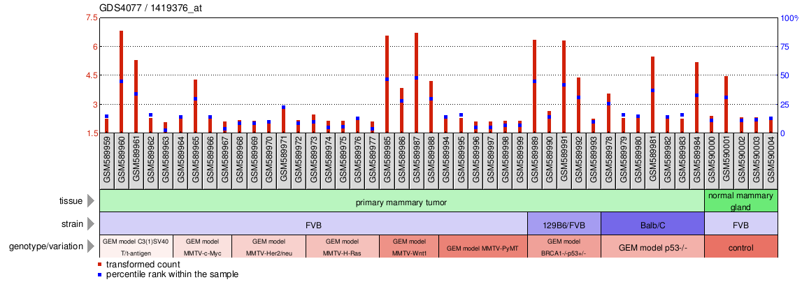 Gene Expression Profile