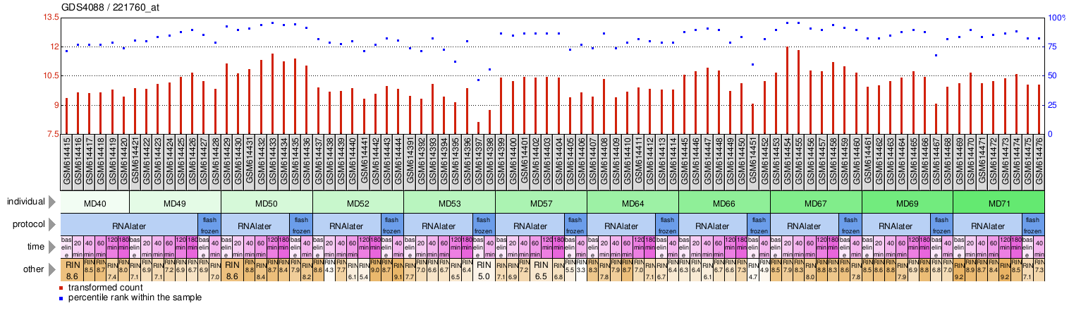 Gene Expression Profile