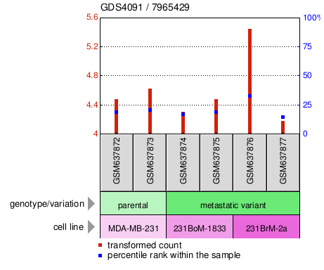 Gene Expression Profile