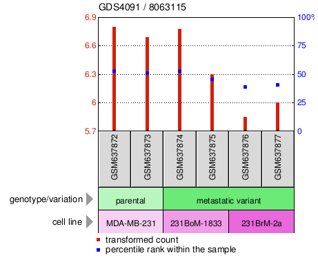 Gene Expression Profile