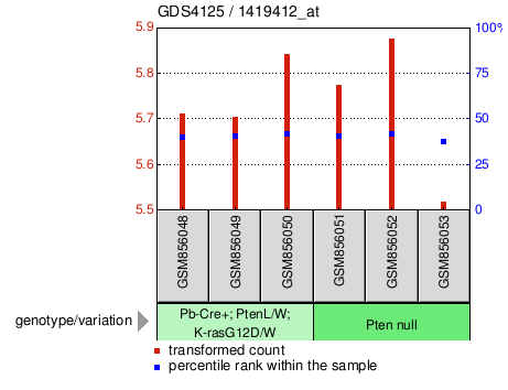 Gene Expression Profile