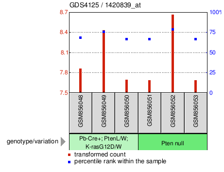 Gene Expression Profile