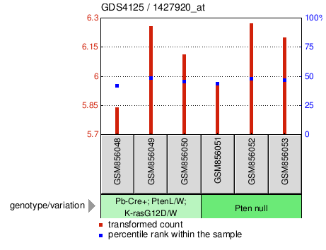 Gene Expression Profile