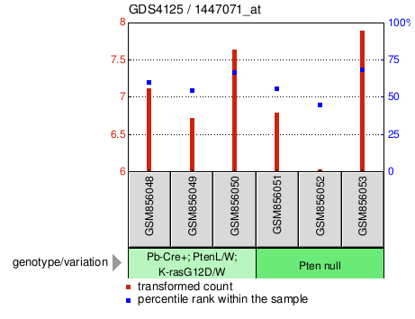 Gene Expression Profile