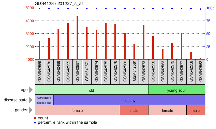 Gene Expression Profile