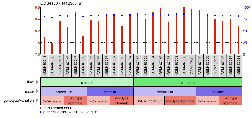 Gene Expression Profile