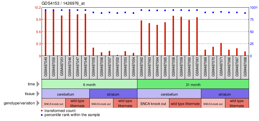 Gene Expression Profile