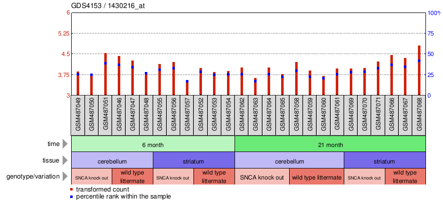 Gene Expression Profile