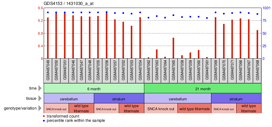 Gene Expression Profile