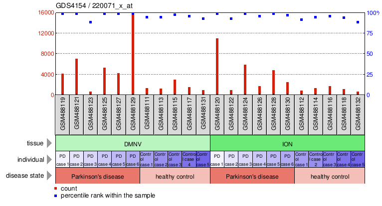 Gene Expression Profile