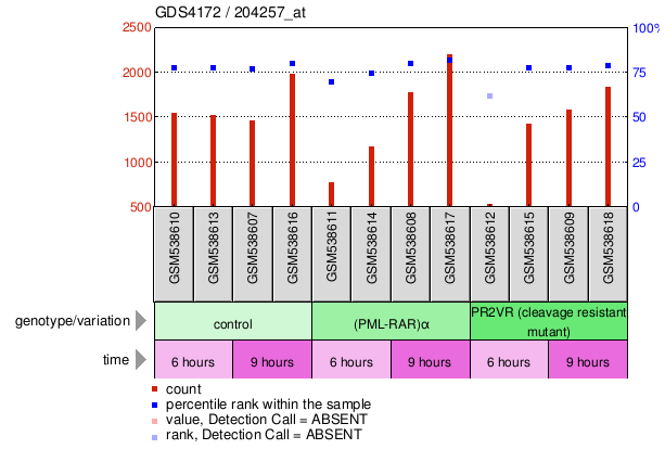 Gene Expression Profile