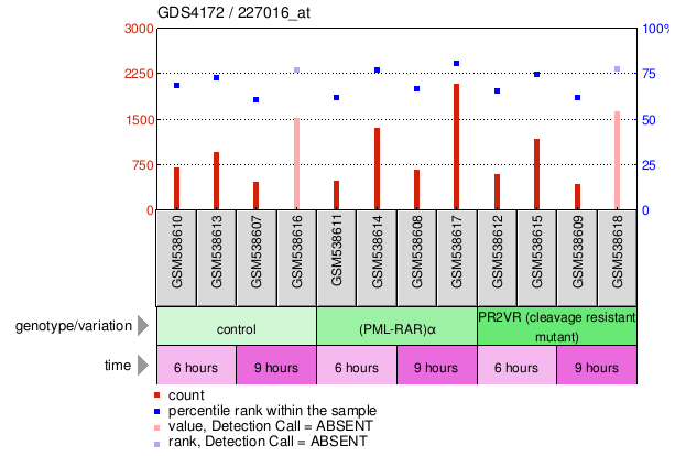 Gene Expression Profile