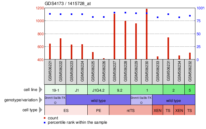 Gene Expression Profile