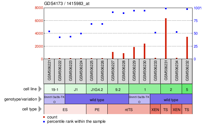 Gene Expression Profile