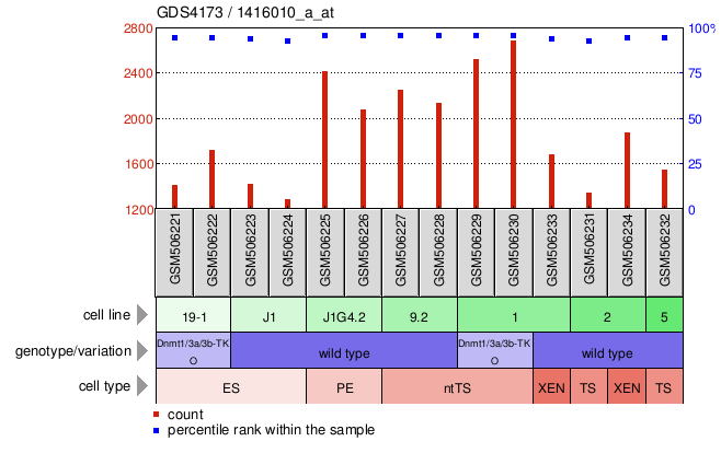 Gene Expression Profile