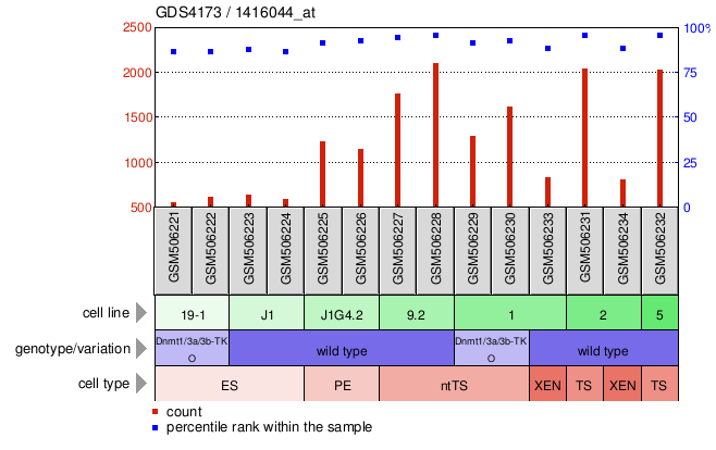 Gene Expression Profile