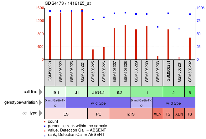 Gene Expression Profile