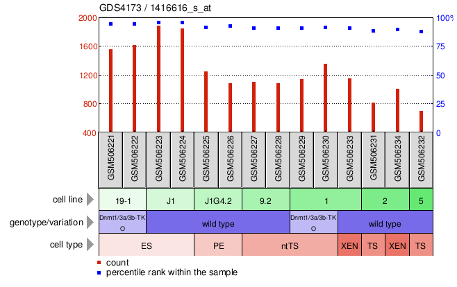 Gene Expression Profile