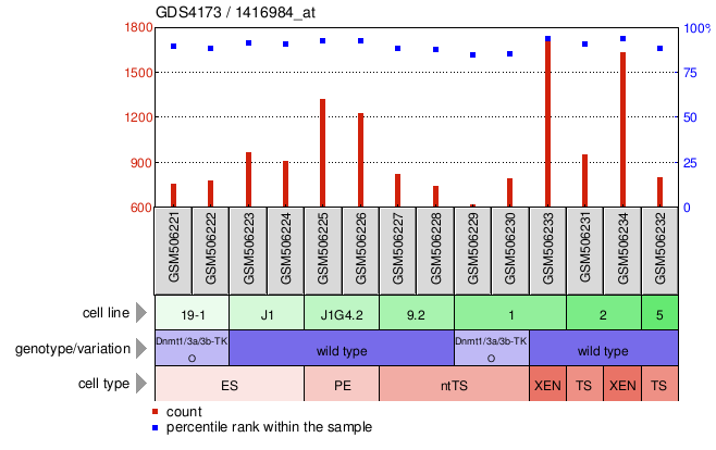 Gene Expression Profile