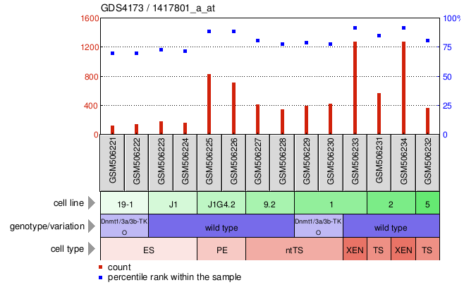 Gene Expression Profile