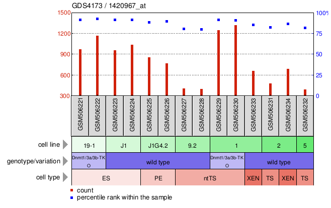 Gene Expression Profile