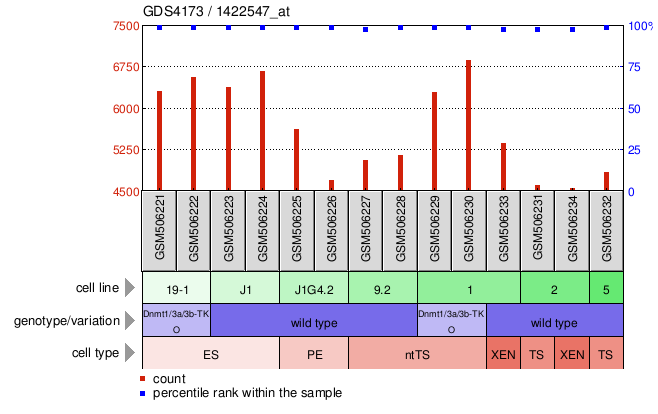 Gene Expression Profile