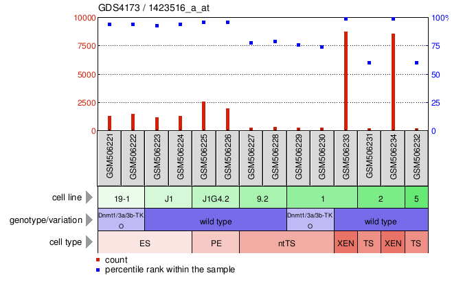 Gene Expression Profile