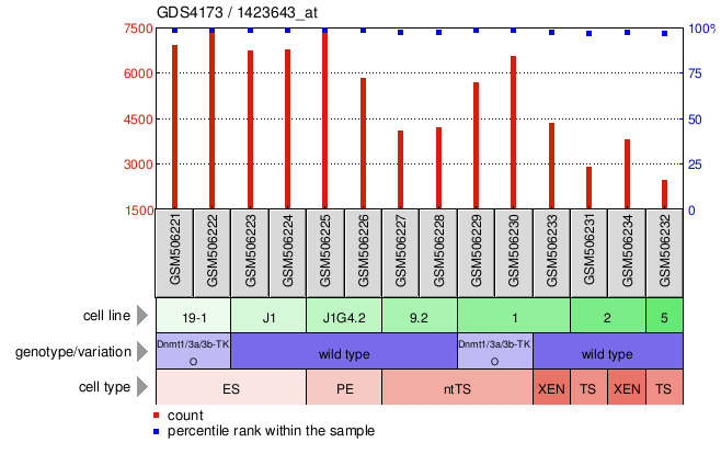 Gene Expression Profile