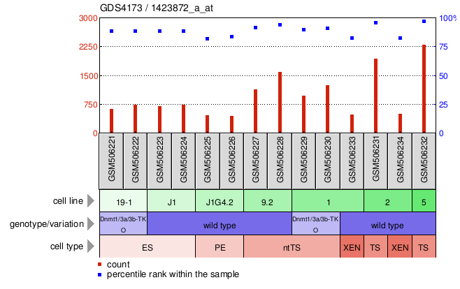 Gene Expression Profile