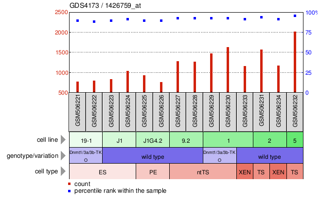 Gene Expression Profile