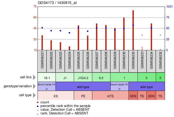 Gene Expression Profile