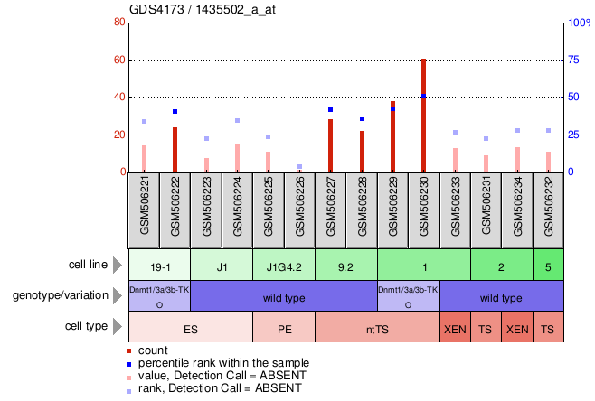 Gene Expression Profile