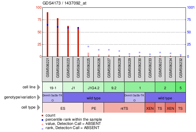 Gene Expression Profile