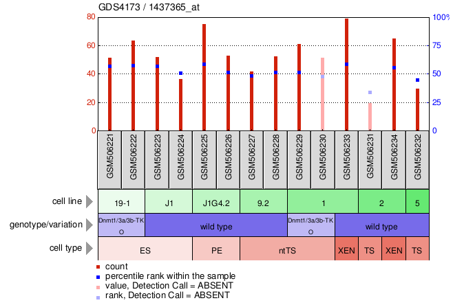 Gene Expression Profile