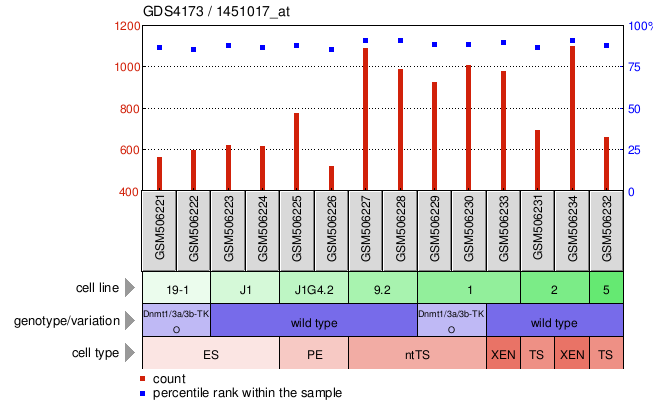 Gene Expression Profile