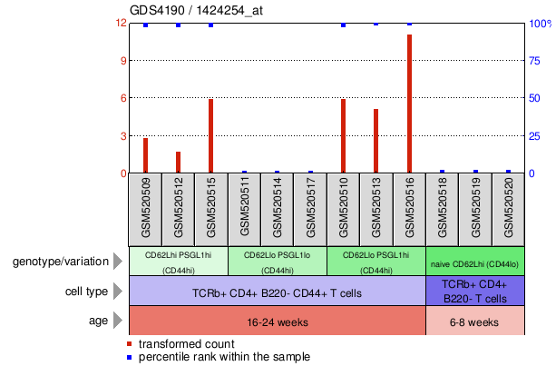 Gene Expression Profile