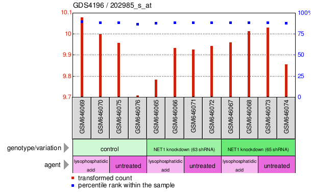 Gene Expression Profile