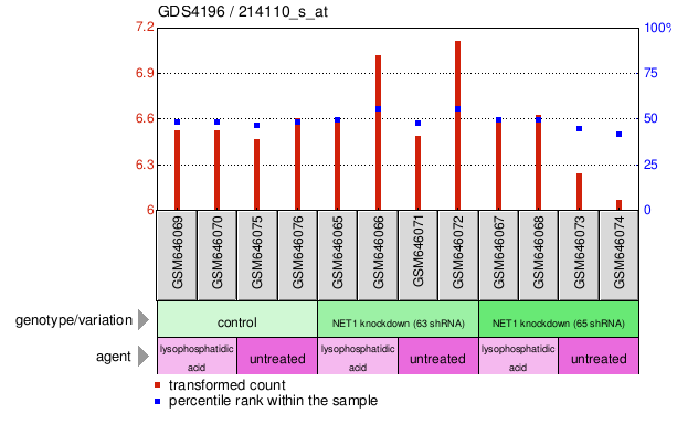 Gene Expression Profile