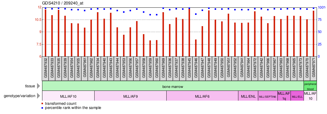 Gene Expression Profile