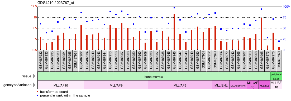 Gene Expression Profile