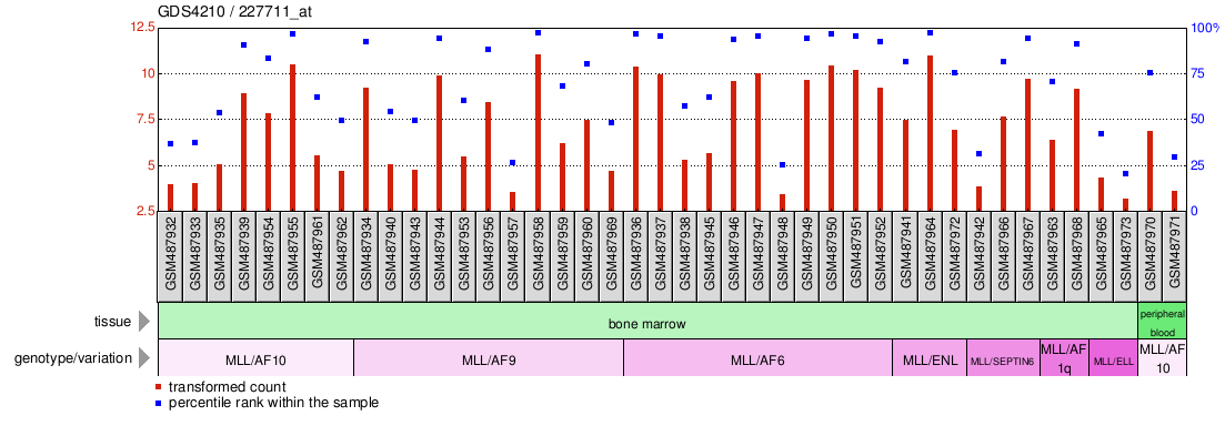 Gene Expression Profile